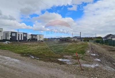 Teren de 720 mp, în Lisaura - 3