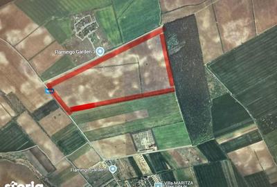 Teren de 450000 mp, în Corbeanca - 4