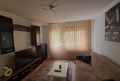 Apartament 2 camere, decomandat, 50mp, cartier Rovine, zona Institut