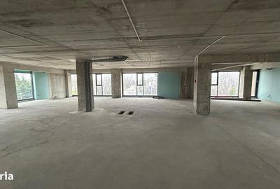 Spațiu comercial, de 460 mp, în Albert - 1