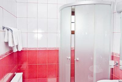 Spațiu comercial, de 720 mp, în Bucovăț (Remetea Mare) - 6