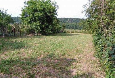 Teren de 1127 mp, în Ghirdoveni