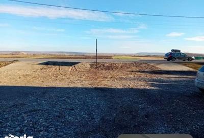 Teren de 5000 mp, în Filipești - 1