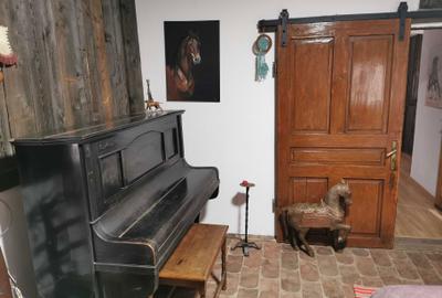 Casă cu 2 camere în Fântânele - 3