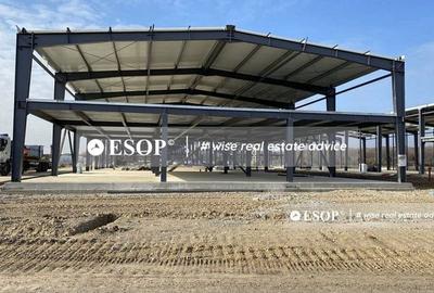 Park Logistic Mogosoaia, spatii depozitare, productie, 590-933mp - 3