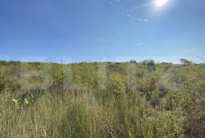 Teren de 3800 mp, în Crișeni - 3