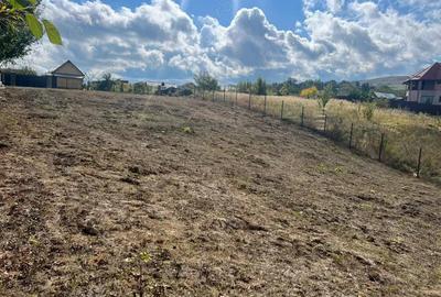 Teren intre case- Magura Farbe- 1419 mp - 5