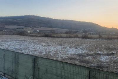Teren Ivanesti-Livezeni 4300 mp - 1