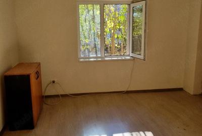 Casă cu 5 camere cu Teren 1106 Mp în Letca Nouă - 4
