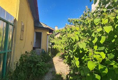 Casa de inchiriat - 8