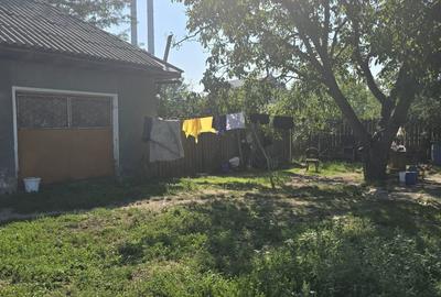 Casă cu 2 camere în Letea Veche - 1