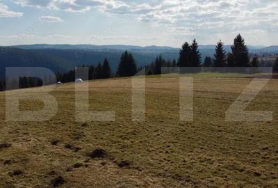 Teren de 10909 mp, în Râșca - 7