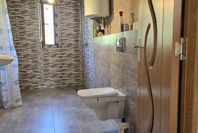 Casă cu 5 camere cu Teren 2763 Mp în Băița - 19