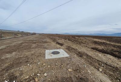 Teren de 6500 mp, în Centură