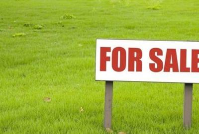 Teren agricol extravilan de 29100 mp, în Puiești - 2