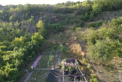 Teren de 3300 mp, în Podgoria