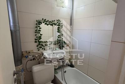 Garsonieră în Dumbrăvița - 4