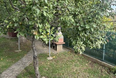 Casă cu 4 camere decomandat cu Teren 900 Mp în Central - 2