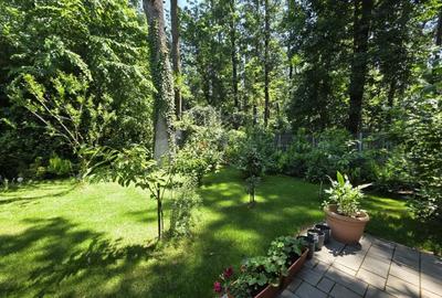 Vila individuala cu teren extins si intimitate – Mogosoaia - 19