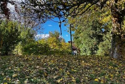 Teren cu casa lemn Snagov ieșire lac - 2