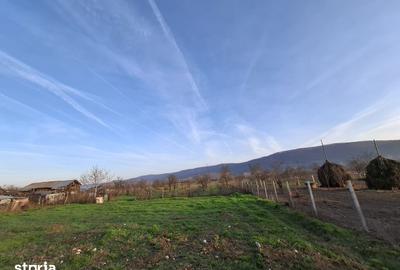 Casă cu 5 camere cu Teren 4443 Mp în Nicolae Bălcescu - 6
