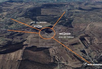 Teren in Padureni - Chinteni, 5800 mp, intravilan, Lv1 - viitoare constructii