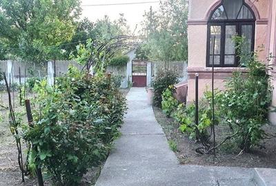 Casa Moldoveni Teleorman - 9