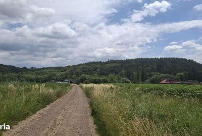 Teren de 5000 mp, în Șcheia - 2