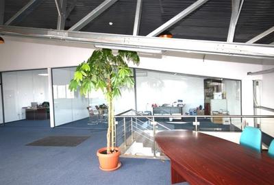 Spațiu comercial, de 2,393 mp, în Balotești - 6