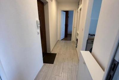 Apartament cu 2 camere decomandat, mobilat în Terezian - 10