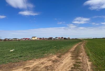 Teren de Vanzare Clinceni- Intravilan - 3