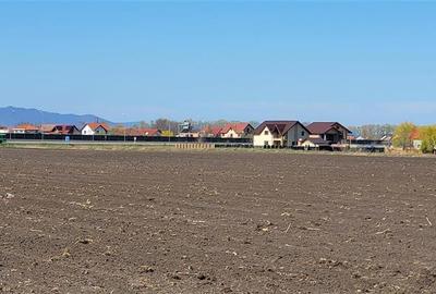 Teren Construcții intravilan de 49906 mp, în Stupini - 4