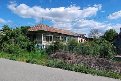 Casă cu Teren 2300 Mp în Tântava - 5
