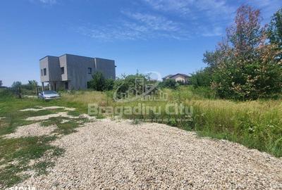 Teren de 525 mp, în Central