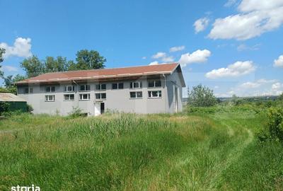Spațiu comercial, de 411 mp, în Burdujeni - 4