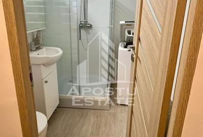 Apartament 1 camera , Zona Take Ionescu - 8