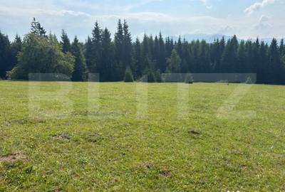 Teren de 20000 mp, în Central - 11