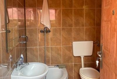 CASA INDIVIDUALA - DE INCHIRIAT - 280 MP - MANASTIREA PASAREA - 30