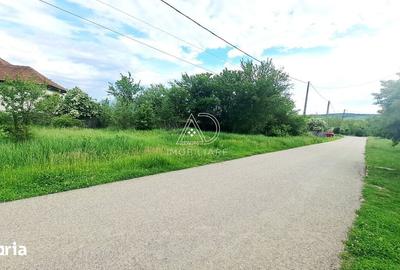 Teren de 7443 mp, în Săcelu - 3