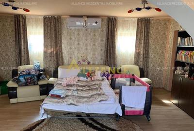 Casa superba la poalele muntilor - 2