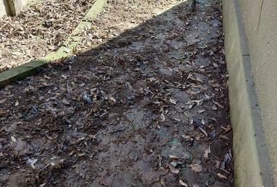 Casă cu 4 camere cu Teren 140 Mp în Central - 3