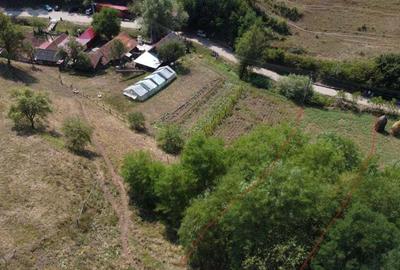 Vand casa (2 corpuri+ ograda) + 2 terenuri in Visca, Jud. Hunedoara - 5