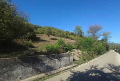 14075 mp teren partial intravilan, cu acces la utilitati - Criscior 14075 mp teren partial intravilan, cu acces la utilitati - Criscior - 9