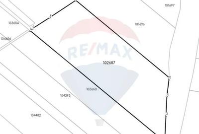 Teren de 80000 mp, în Hălchiu - 7
