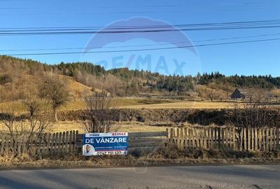 Teren intravilan de 5282 mp, în Vatra Moldoviței - 22