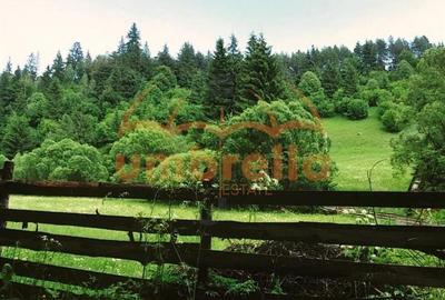 Teren Construcții intravilan de 34201 mp, în Vărșag - 16