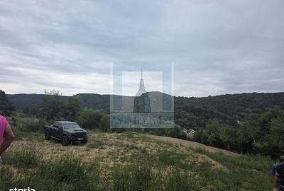 Spațiu comercial, în Angofa - 1