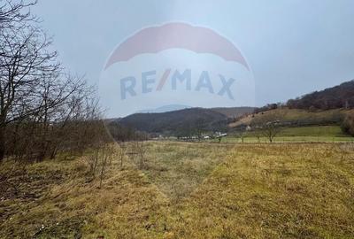 Teren extravilan de 3826 mp, în Moldovenești - 5