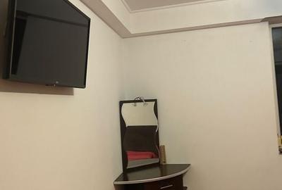 Oferta! Apartament 2 camere Liviu Rebreanu, mobilat complet, Pet friendly - 4