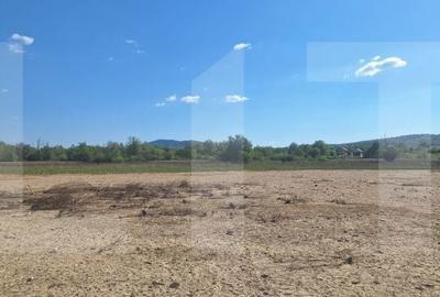 Teren de 1600 mp, în Central - 6